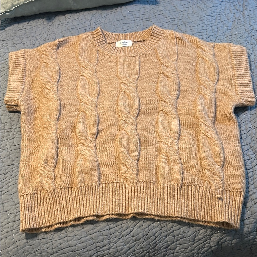 Blu Ivy Cable Knit Sweater Vest in Light Brown/Tan from Anthro